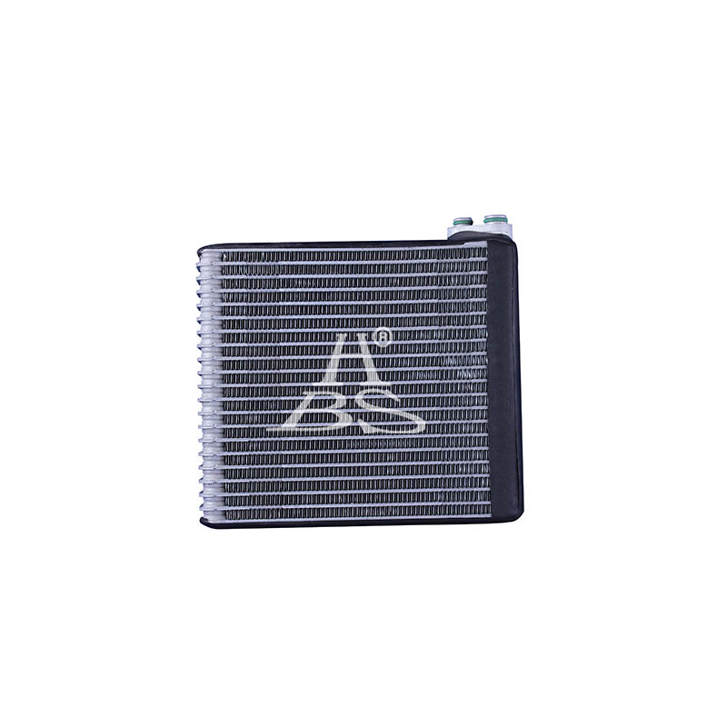 Evaporator For 4466000310