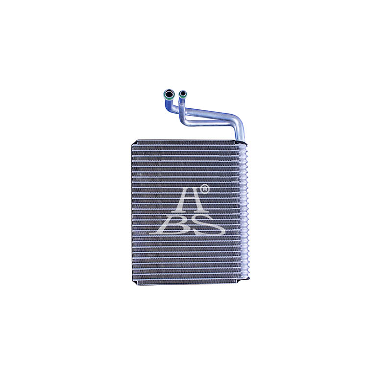 Evaporator For A2208301058